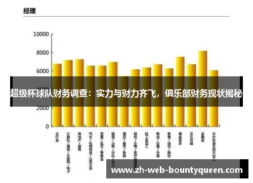 超级杯球队财务调查:实力与财力齐飞,俱乐部财务现状揭秘 超级杯球队财务调查:实力与财力齐飞,俱乐部财务现状揭秘