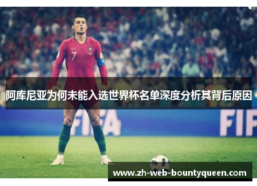 阿库尼亚为何未能入选世界杯名单深度分析其背后原因